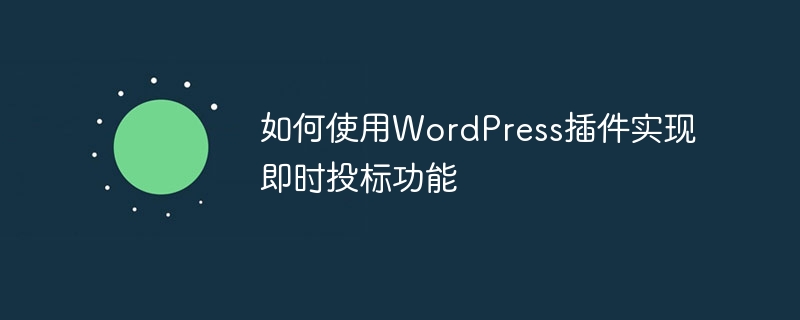 如何使用wordpress插件实现即时投标功能