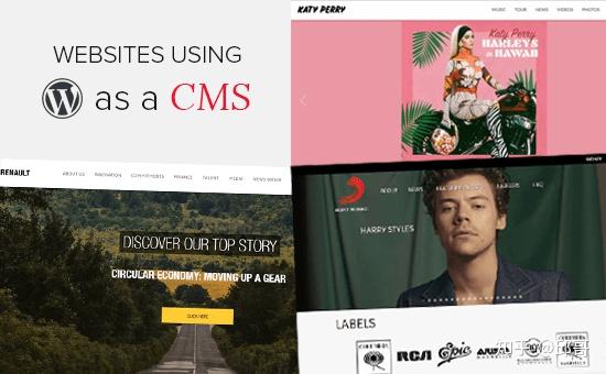 wordpress cms网站有哪些