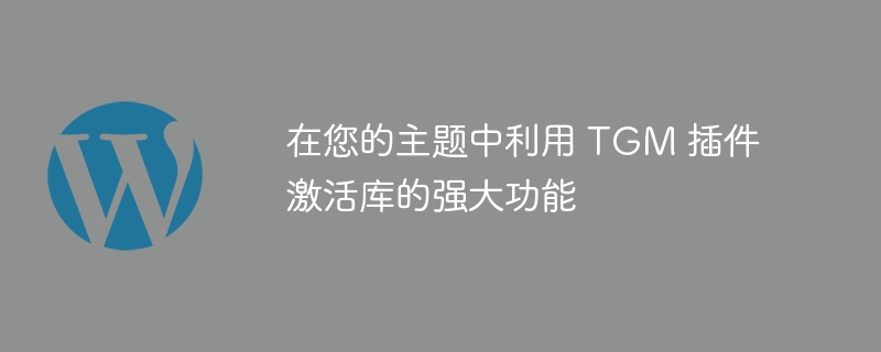 在您的主题中利用 tgm 插件激活库的强大功能