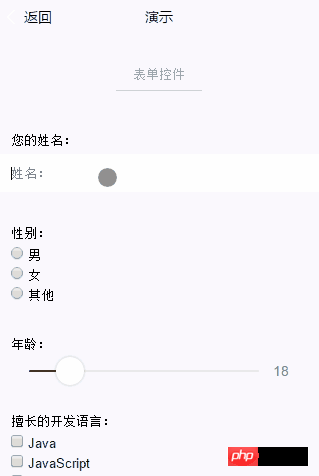 微信小程序组件form表单解读和分析介绍