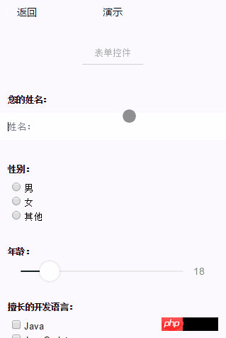 微信小程序组件form表单解读和分析介绍