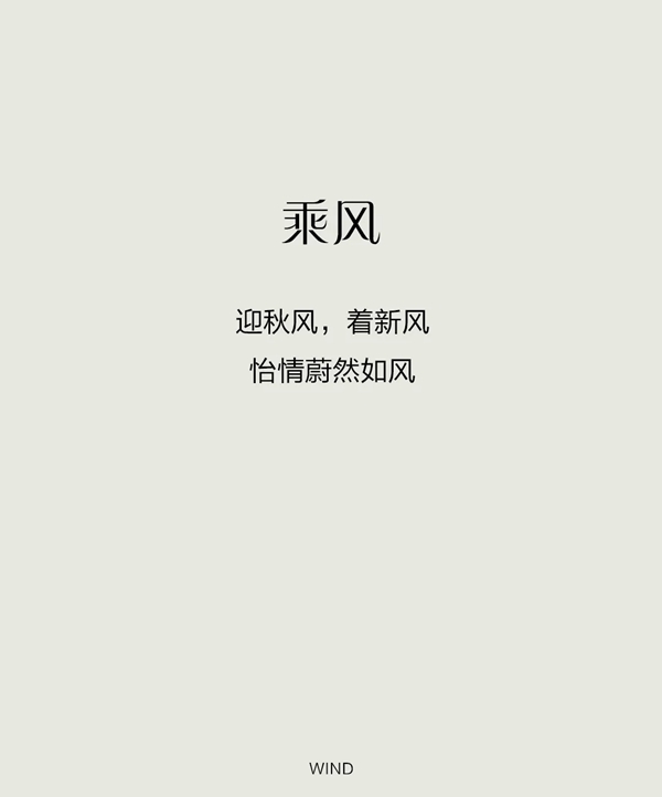 丝雨桐