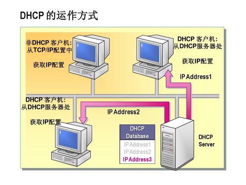 dhcp是什么意思？dhcp服务器是什么？DHCP服务器的功能和作用